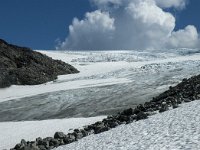 N, Sogn og Fjordane, Luster, Sognefjellet 4, Saxifraga-Marijke Verhagen