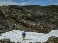 N, Sogn og Fjordane, Luster, Sognefjellet 6, Saxifraga-Marijke Verhagen