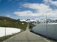 N, Sogn og Fjordane, Luster, Sognefjelletroad 1, Saxifraga-Willem van Kruijsbergen