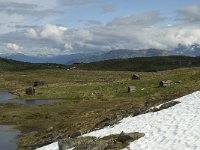 N, Sogn og Fjordane, Sogndal, Fagreggi 1, Saxifraga-Willem van Kruijsbergen