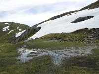 N, Sogn og Fjordane, Sogndal, Rysete 1, Saxifraga-Willem van Kruijsbergen