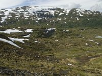 N, Sogn og Fjordane, Sogndal, Rysete 3, Saxifraga-Willem van Kruijsbergen