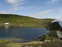 N, Sogn og Fjordane, Sogndal, Skavasshaugane 2, Saxifraga-Willem van Kruijsbergen