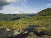 N, Sogn og Fjordane, Sogndal, Skavasshaugane 6, Saxifraga-Willem van Kruijsbergen