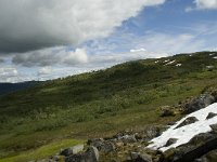 N, Sogn og Fjordane, Sogndal, Stedjekammen 2, Saxifraga-Willem van Kruijsbergen