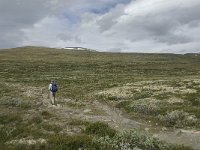 N, Sor-Trondelag, Oppdal, Reinheim 6, Saxifraga-Jan van der Straaten