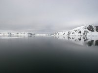 NO, Spitsbergen, Fuglesangen 15, Saxifraga-Bart Vastenhouw