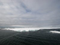 NO, Spitsbergen, Fuglesangen 22, Saxifraga-Bart Vastenhouw