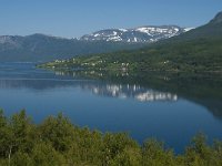 N, Troms, Foldvik 2, Saxifraga-Jan van der Straaten