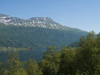 N, Troms, Foldvik 3, Saxifraga-Jan van der Straaten