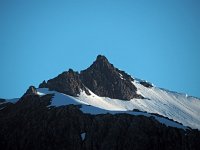 N, Troms, Kaefjord, Gullesfjordbotn 2, Saxifraga-Hans Dekker