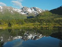 N, Troms, Kaefjord, Gullesfjordbotn 6, Saxifraga-Hans Dekker