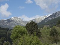 E, Avila, Arenas de San Pedro 6, Saxifraga-Willem van Kruijsbergen