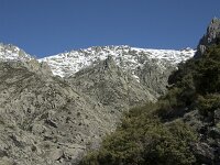 E, Avila, Guisando, Nogal del Barranco 15, Saxifraga-Willem van Kruijsbergen