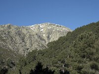 E, Avila, Guisando, Nogal del Barranco 6, Saxifraga-Willem van Kruijsbergen