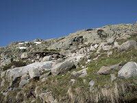 E, Avila, San Juan de Gredos, Senda de la Laguna Grande 1, Saxifraga-Willem van Kruijsbergen