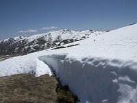 E, Avila, San Juan de Gredos, Senda de la Laguna Grande 50, Saxifraga-Willem van Kruijsbergen