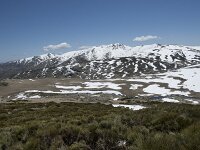 E, Avila, San Juan de Gredos, Senda de la Laguna Grande 53, Saxifraga-Willem van Kruijsbergen