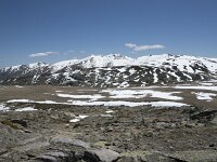 E, Avila, San Juan de Gredos, Senda de la Laguna Grande 55, Saxifraga-Willem van Kruijsbergen