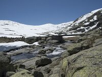 E, Avila, San Juan de Gredos, Senda de la Laguna Grande 63, Saxifraga-Willem van Kruijsbergen