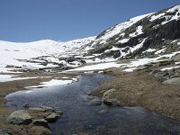 E, Avila, San Juan de Gredos, Senda de la Laguna Grande 67, Saxifraga-Willem van Kruijsbergen