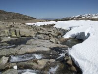E, Avila, San Juan de Gredos, Senda de la Laguna Grande 68, Saxifraga-Willem van Kruijsbergen