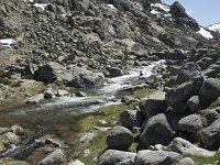 E, Avila, San Juan de Gredos, Senda de la Laguna Grande 81, Saxifraga-Willem van Kruijsbergen