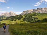 CH, Bern, Adelboden, Sillerenbuhl-Hahnenmoospass 2, Saxifraga-Tom Heijnen