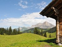 CH, Bern, Adelboden, Sillerenbuhl-Hahnenmoospass 4, Saxifraga-Tom Heijnen