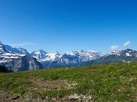 CH, Bern, Grindelwald, Kleine Scheidegg 6, Saxifraga-Bart Vastenhouw