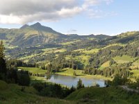 CH, Bern, Lauenen, Lauenensee, Saxifraga-Tom Heijnen