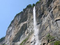 CH, Bern, Lauterbrunnen 1, Saxifraga-Bart Vastenhouw