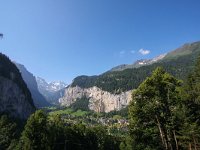 CH, Bern, Lauterbrunnen 3, Saxifraga-Bart Vastenhouw