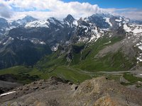 CH, Bern, Lauterbrunnen, Schilthorn 1, Saxifraga-Bart Vastenhouw