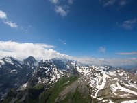 CH, Bern, Lauterbrunnen, Schilthorn 3, Saxifraga-Bart Vastenhouw