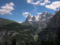 CH, Bern, Lauterbrunnen, Wengen 1, Saxifraga-Bart Vastenhouw