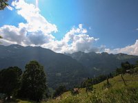 CH, Bern, Lauterbrunnen, Wengen 6, Saxifraga-Bart Vastenhouw