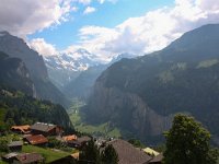 CH, Bern, Lauterbrunnen, Wengen 7, Saxifraga-Bart Vastenhouw