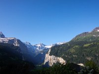 CH, Bern, Lauterbrunnen, Wengen 9, Saxifraga-Bart Vastenhouw