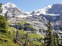 CH, Bern, Lauterbrunnen, near Kleine Scheidegg 2, Saxifraga-Tom Heijnen