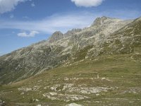 CH, Graubuenden, Spluegen, Spluegenpass 11, Saxifraga-Willem van Kruijsbergen