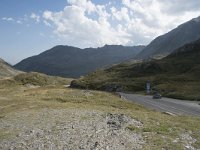 CH, Graubuenden, Spluegen, Spluegenpass 7, Saxifraga-Willem van Kruijsbergen