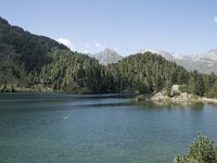 CH, Graubuenden, Stampa, Lagh da Cavloc 3, Saxifraga-Willem van Kruijsbergen