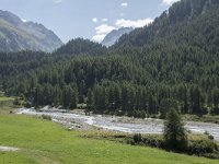 CH, Graubuenden, Stampa, Malojapass 5, Saxifraga-Willem van Kruijsbergen