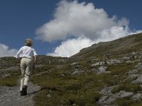 CH, Graubuenden, Zernez, SNP, Munt de la Schera 3, Saxifraga-Jan van der Straaten