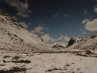 CH, Graubuenden, Zernez, Susasca Fluelapass 5, Saxifraga-Bas Klaver