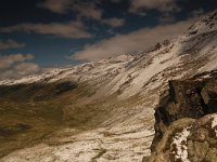 CH, Graubuenden, Zernez, Susasca Fluelapass 7, Saxifraga-Bas Klaver