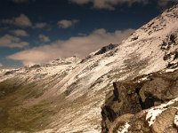 CH, Graubuenden, Zernez, Susasca Fluelapass 9, Saxifraga-Bas Klaver