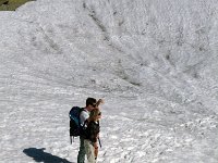 CH, Ticino, Airolo, Alpe di Lucendro 1, Saxifraga-Jan van der Straaten