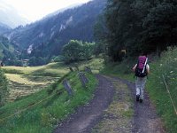 CH, Ticino, Airolo, Ce di Fiori 1, Saxifraga-Jan van der Straaten